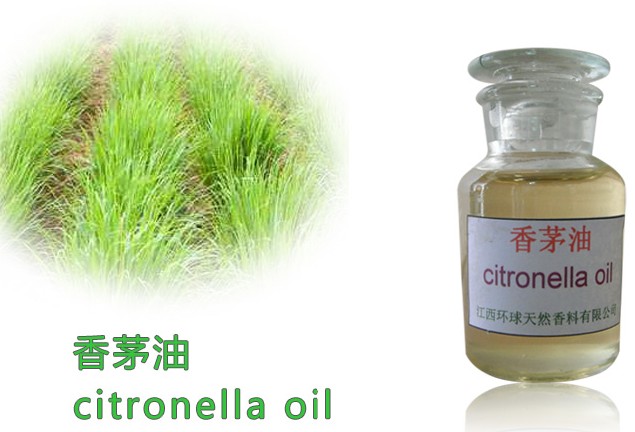 Pure Natural Citronella Aromatherapy Fragr... Made in Korea